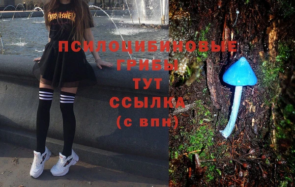 дурь Алексеевка
