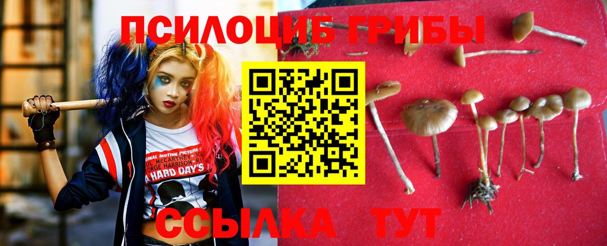 Галлюциногенные грибы Magic Shrooms Кашира