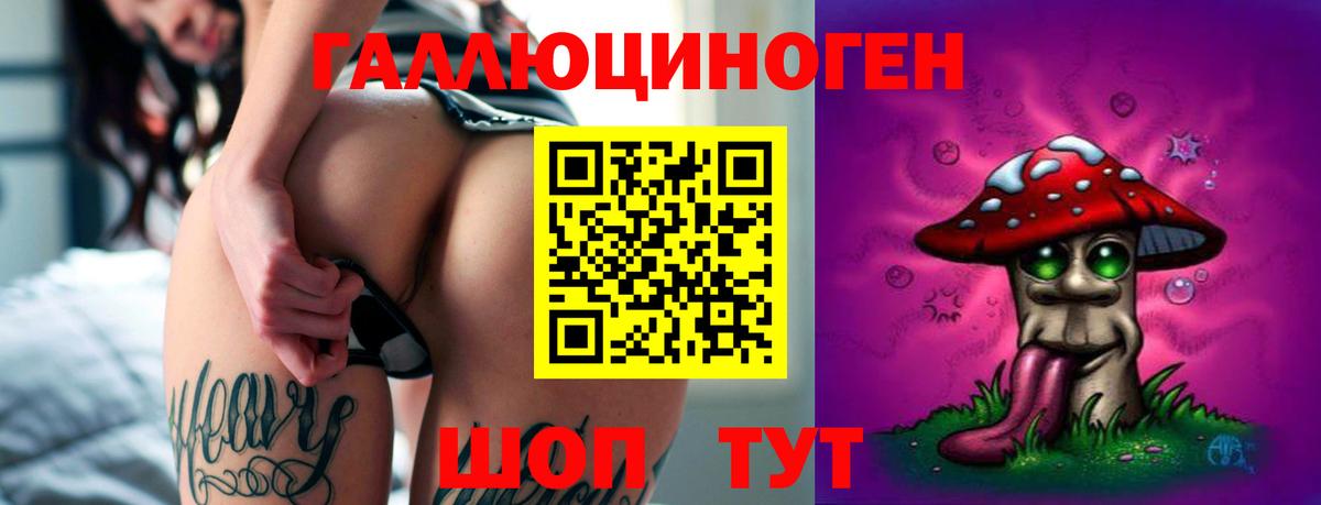 Кашира  Псилоцибиновые грибы Cubensis  Вход с VPN 